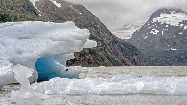 Eisberge auf dem Portage See